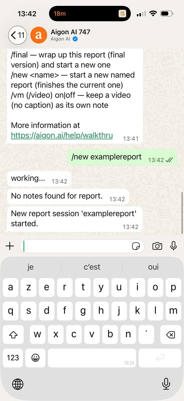 /new examplereport starting a session