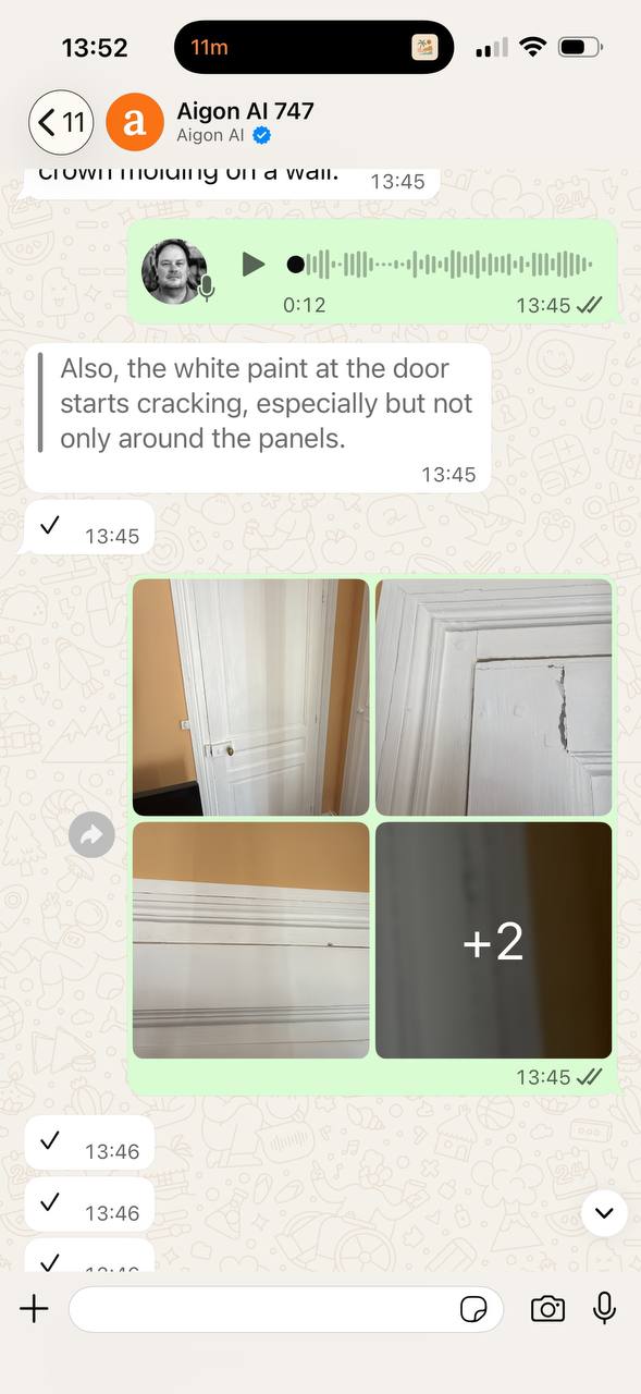 Door paint cracking, with photos