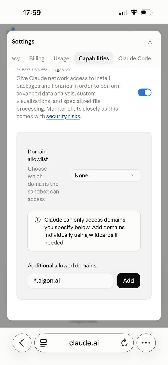 Domain allowlist set to None, with *.aigon.ai added
