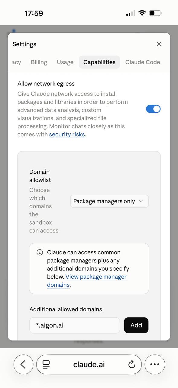 Domain allowlist set to Package managers only, with *.aigon.ai added